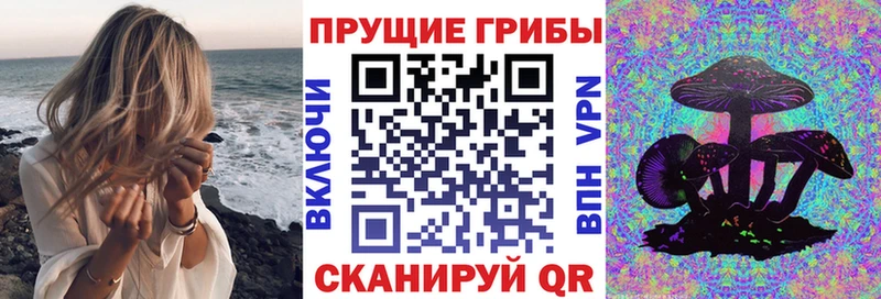Галлюциногенные грибы мухоморы  Купить где  Краснослободск 